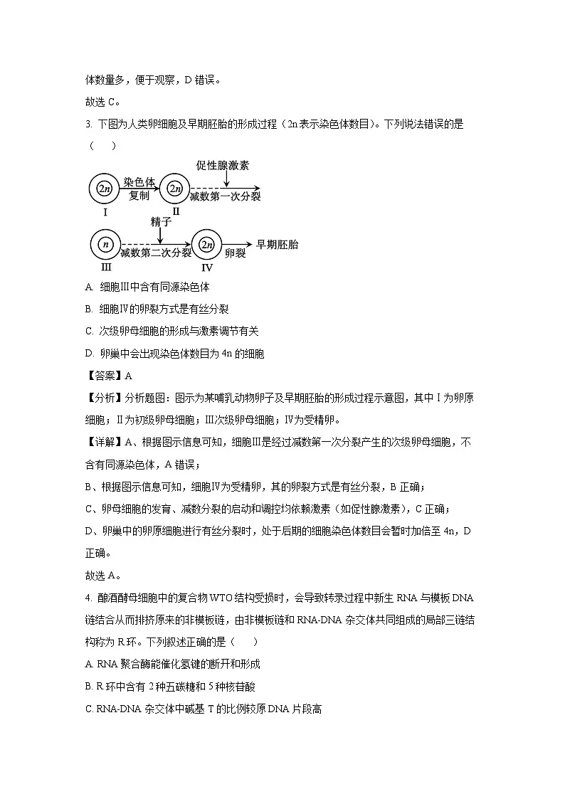 四川省南充市2025届高三下学期适应性考试生物试卷（解析版）第3页