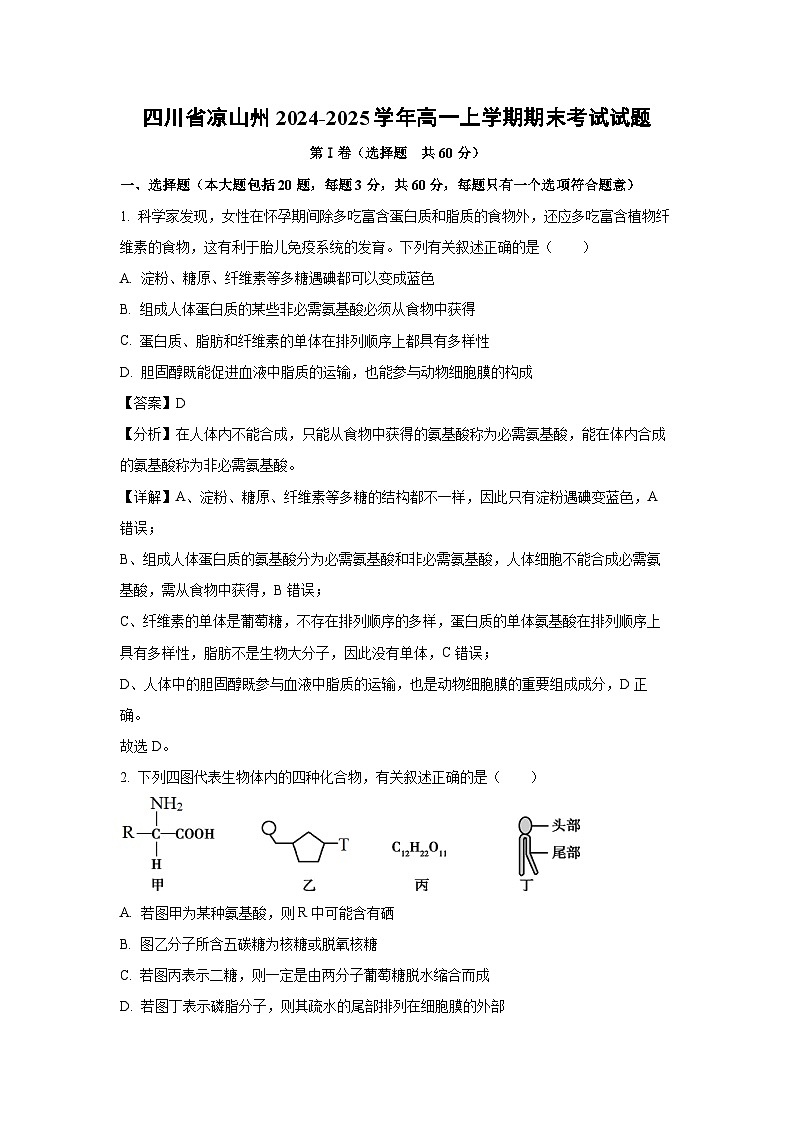 四川省凉山州2024-2025学年高一上学期期末考试生物试卷（解析版）第1页