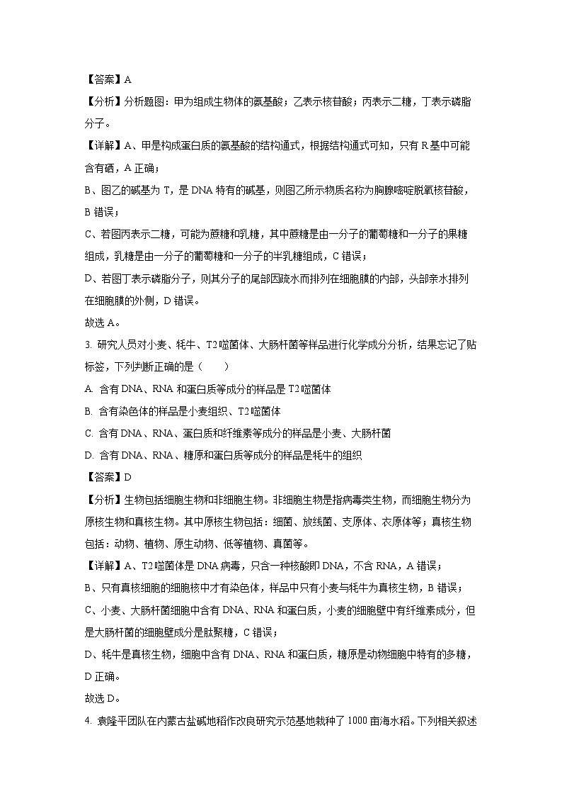 四川省凉山州2024-2025学年高一上学期期末考试生物试卷（解析版）第2页