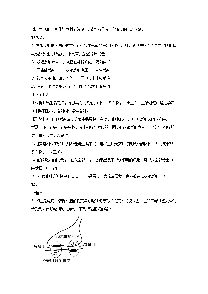 吉林省四平市三校联考2024-2025学年高二上学期期中生物试卷（解析版）第2页