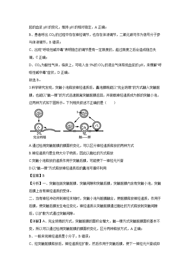 北京市石景山区2024-2025学年高二上学期期末生物试卷（解析版）第2页