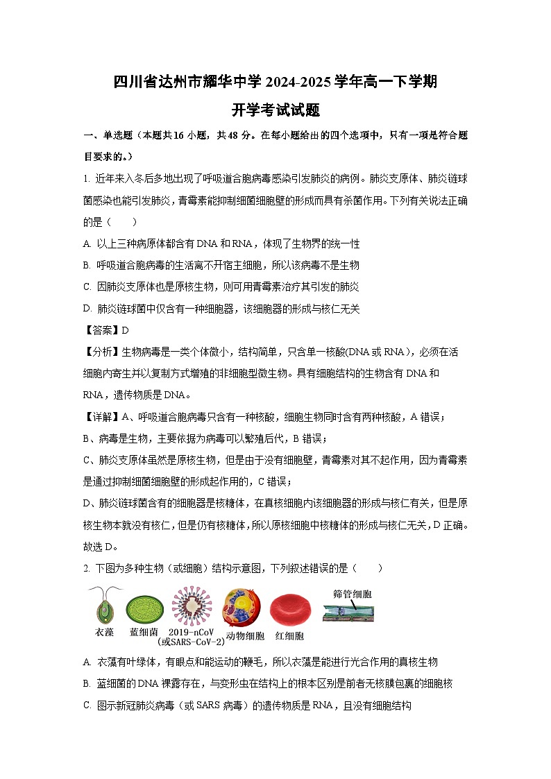 四川省达州市耀华中学2024-2025学年高一下学期开学考试生物试卷（解析版）第1页