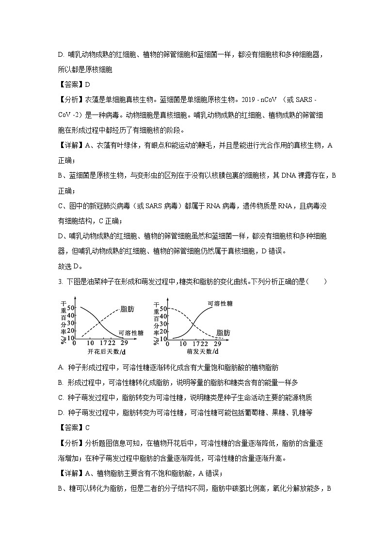 四川省达州市耀华中学2024-2025学年高一下学期开学考试生物试卷（解析版）第2页