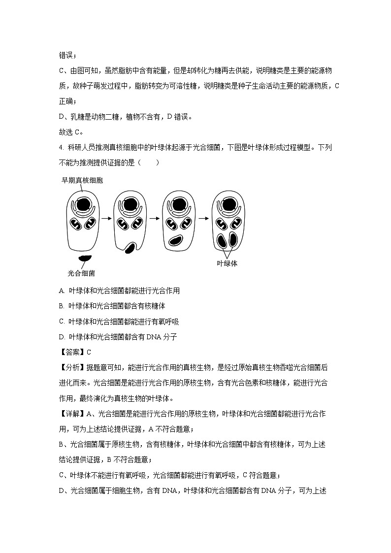 四川省达州市耀华中学2024-2025学年高一下学期开学考试生物试卷（解析版）第3页