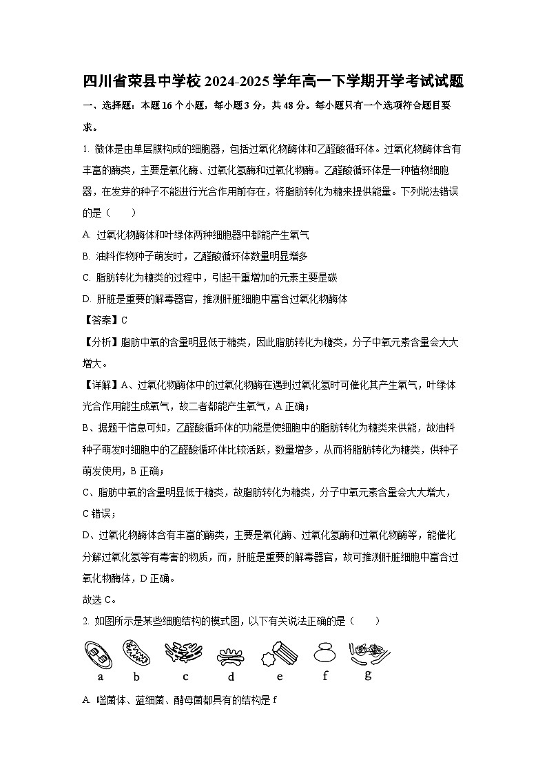 四川省荣县中学校2024-2025学年高一下学期开学考试生物试卷（解析版）第1页