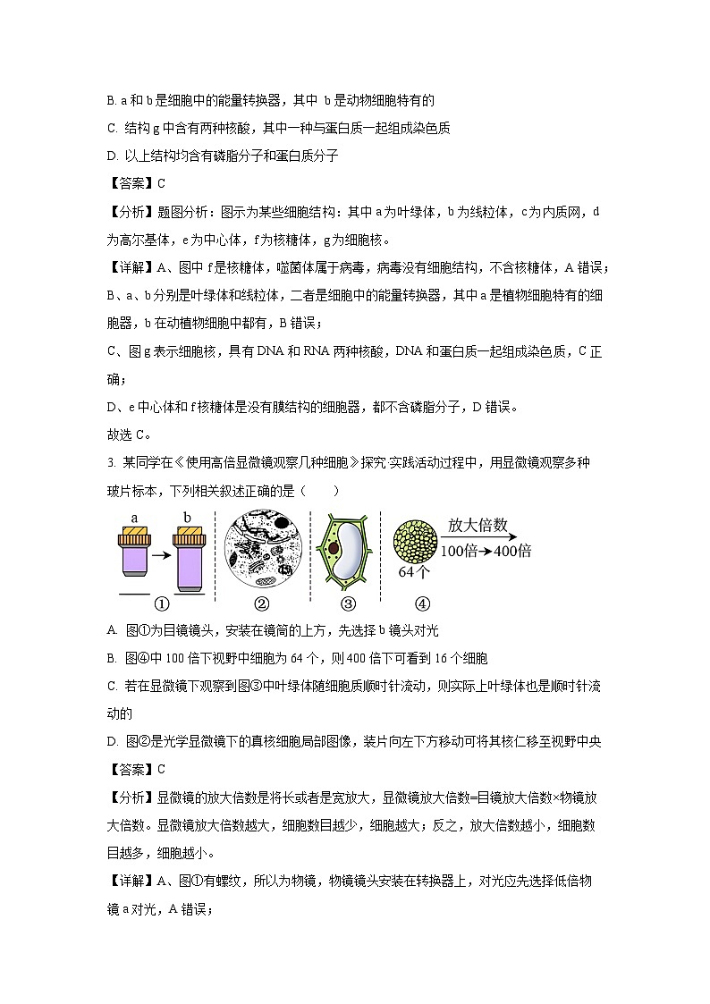 四川省荣县中学校2024-2025学年高一下学期开学考试生物试卷（解析版）第2页
