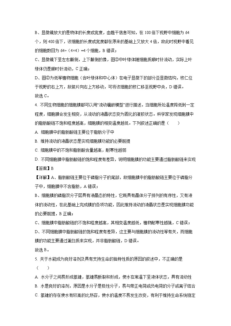 四川省荣县中学校2024-2025学年高一下学期开学考试生物试卷（解析版）第3页