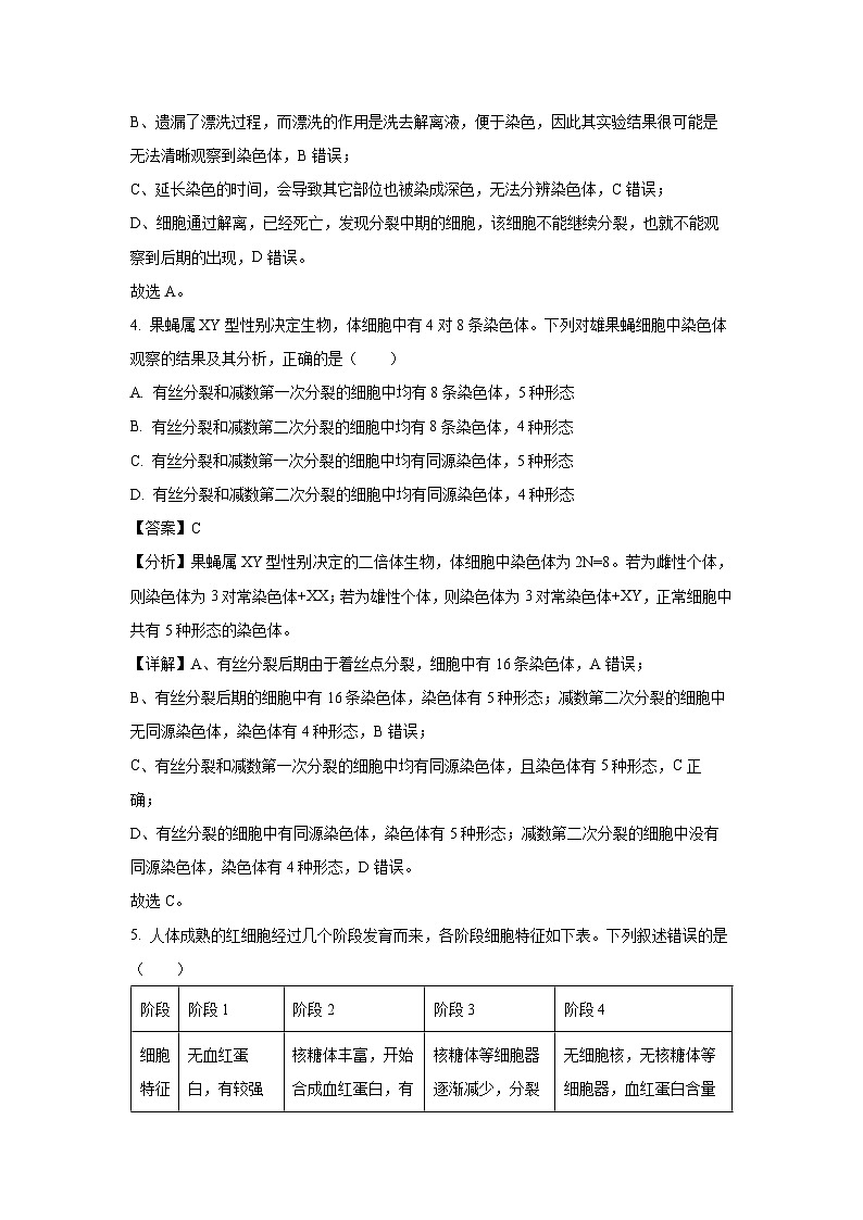 广东省三校（铁一、广外、广附）2023-2024学年高一下学期期末联考生物试卷（解析版）第3页