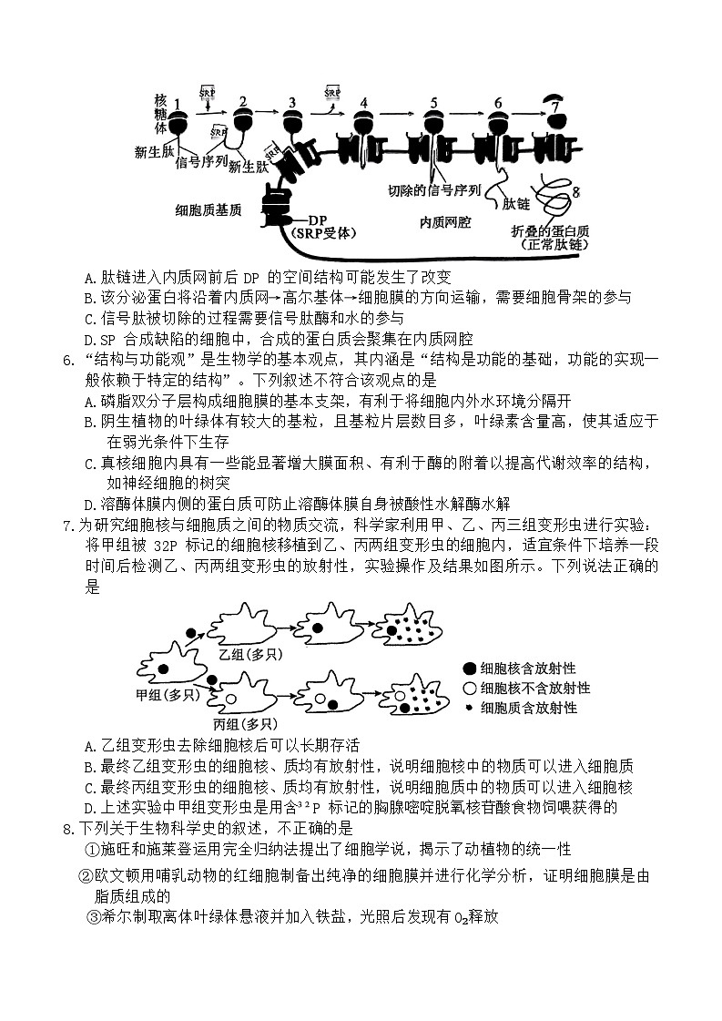 河南省南阳市2023-2024学年高二下学期期终质量评估生物试题第2页