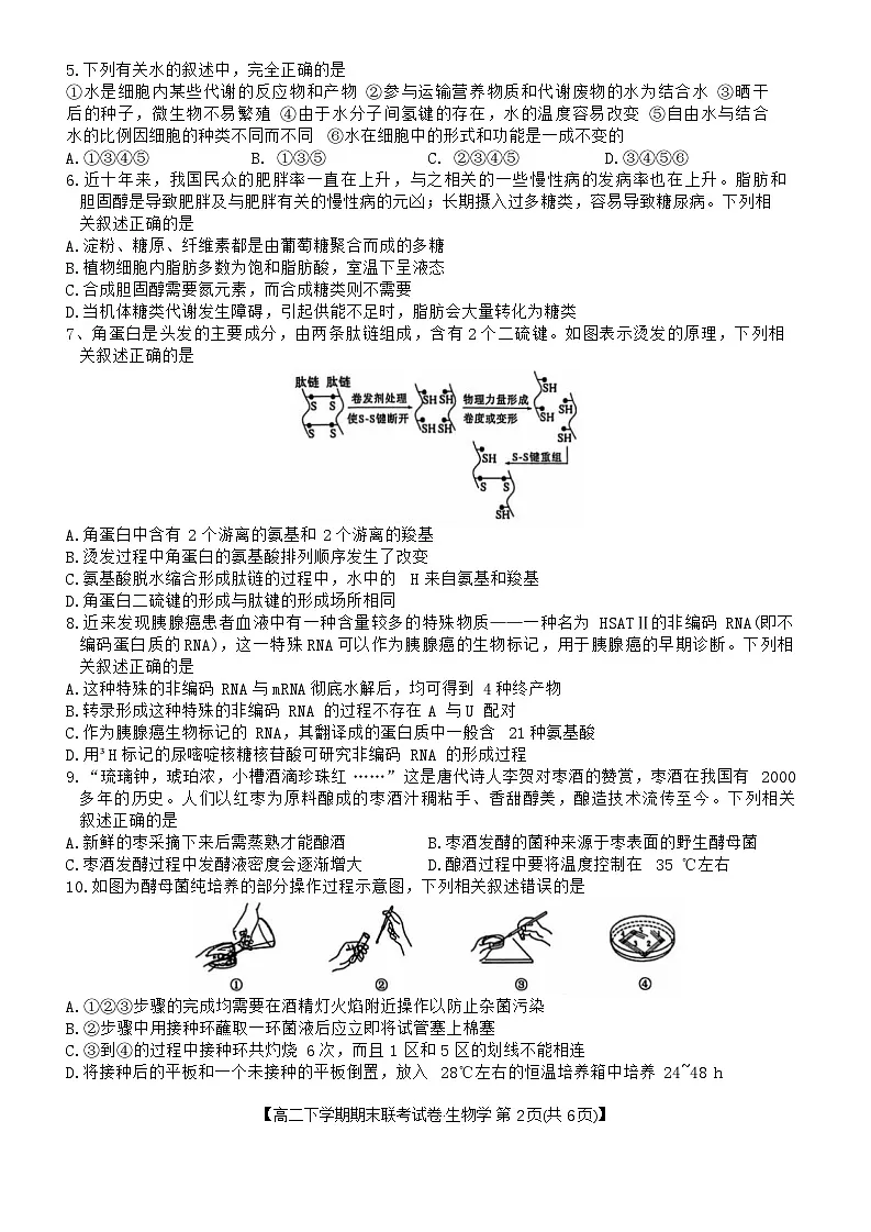 河南省商丘市商师联盟2023-2024学年高二下学期7月期末生物试题第2页