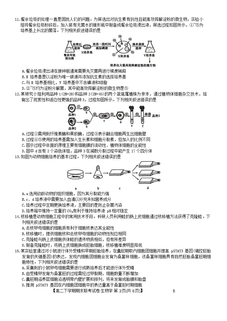 河南省商丘市商师联盟2023-2024学年高二下学期7月期末生物试题第3页