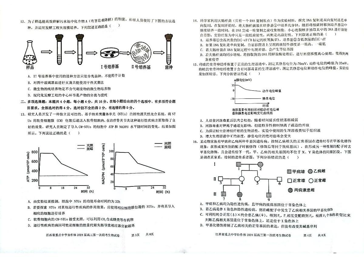2024届江西省重点中学协作体高三下学期第一次联考 生物试卷（含答案）第2页