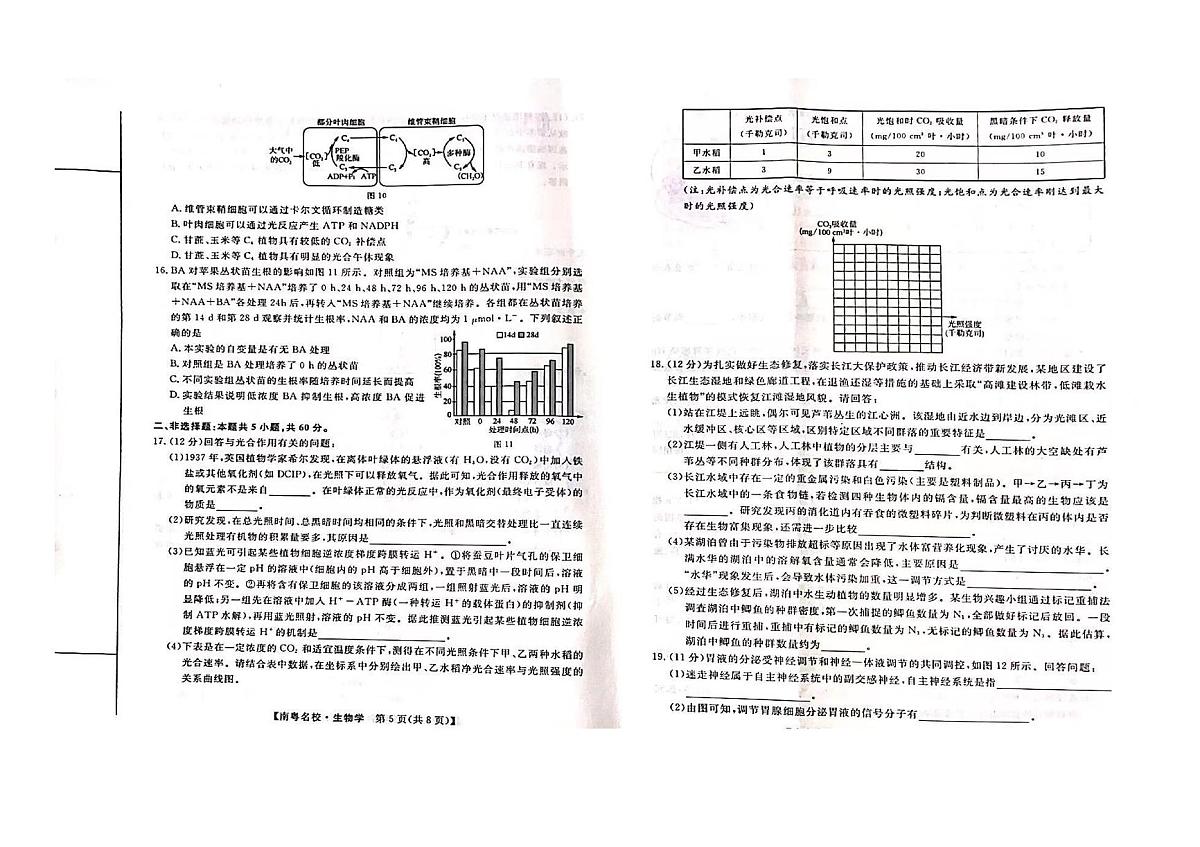 广东省南粤名校2023-2024学年高三下学期2月联考生物试卷（含答案）第3页