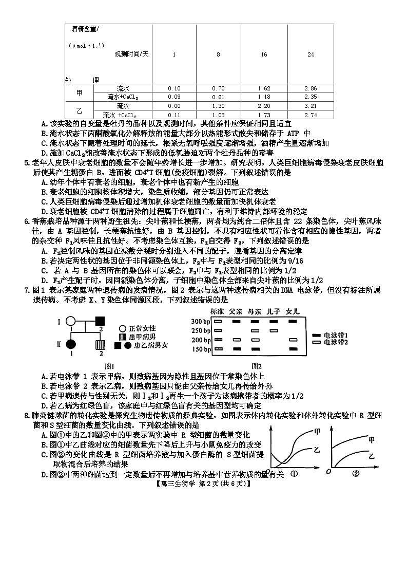 河北省金科大联考2024届高三上学期1月质量检测生物试卷（含答案）第2页