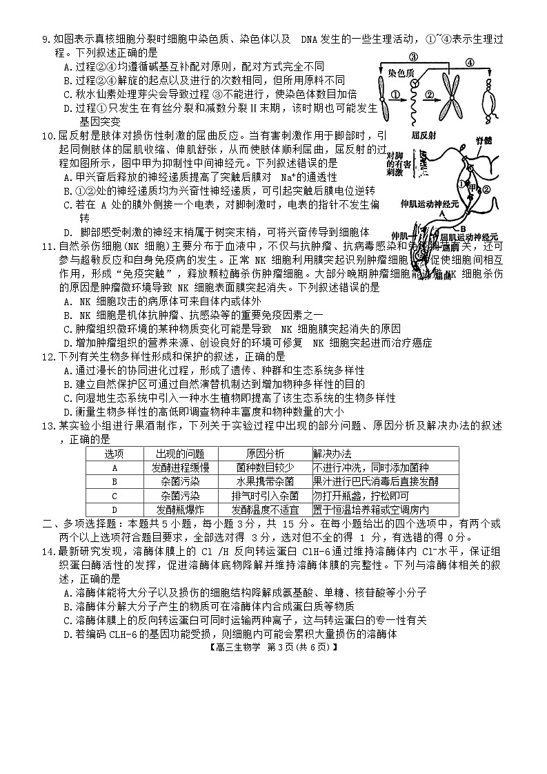 河北省金科大联考2024届高三上学期1月质量检测生物试卷（含答案）第3页
