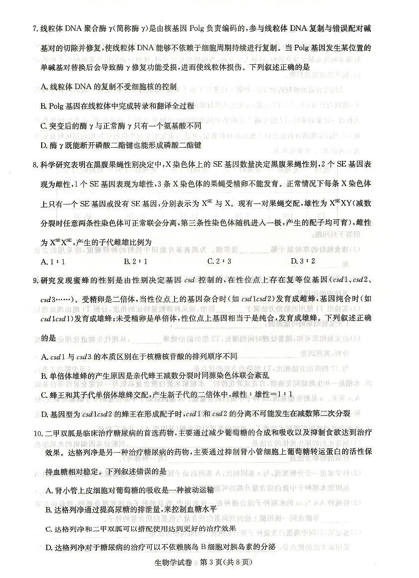 湖北省高中名校联盟2024届高三第三次联考综合测评生物试卷（含答案）第3页