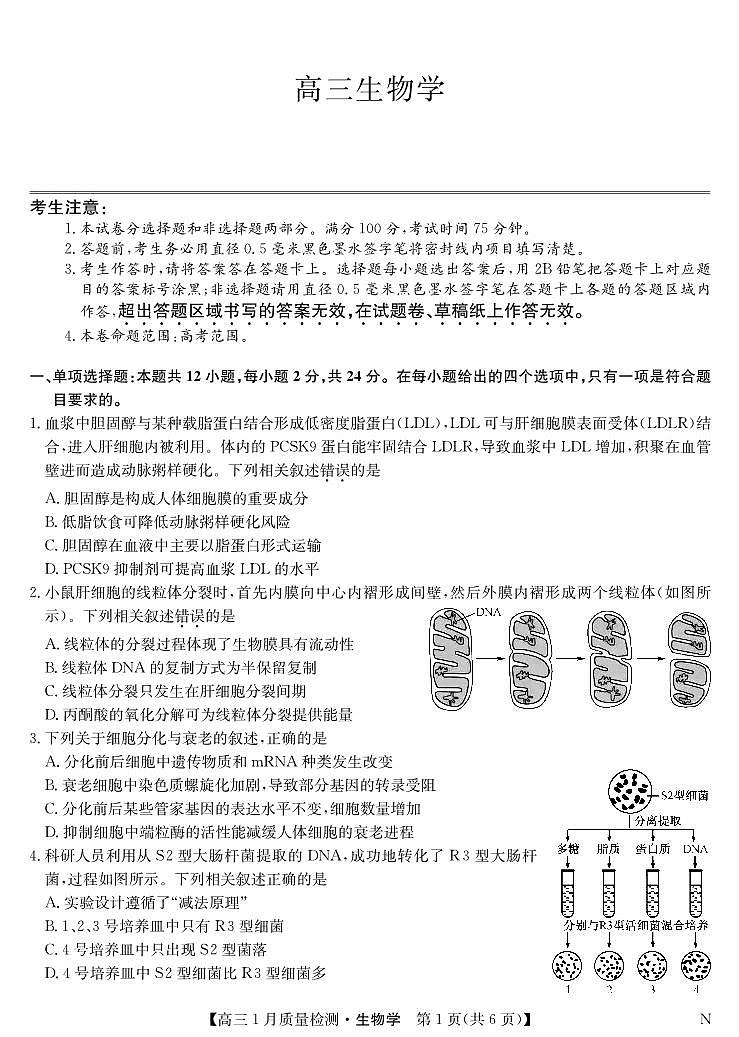 九师联盟2024届高三上学期1月质量检测试生物试卷（含答案）第1页