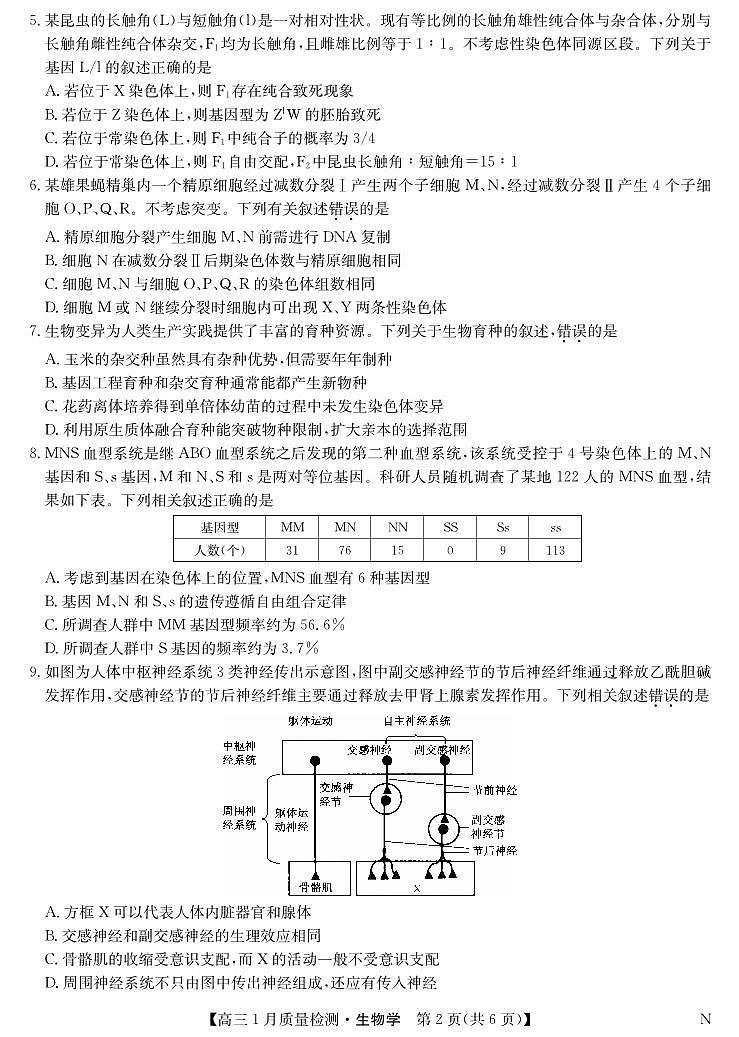 九师联盟2024届高三上学期1月质量检测试生物试卷（含答案）第2页