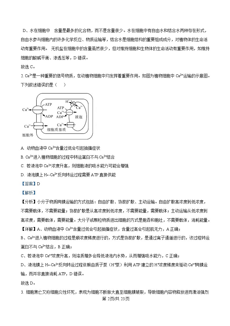 安徽省师范大学附属中学2024-2025学年高三下学期4月质量检测生物试题 含解析第2页