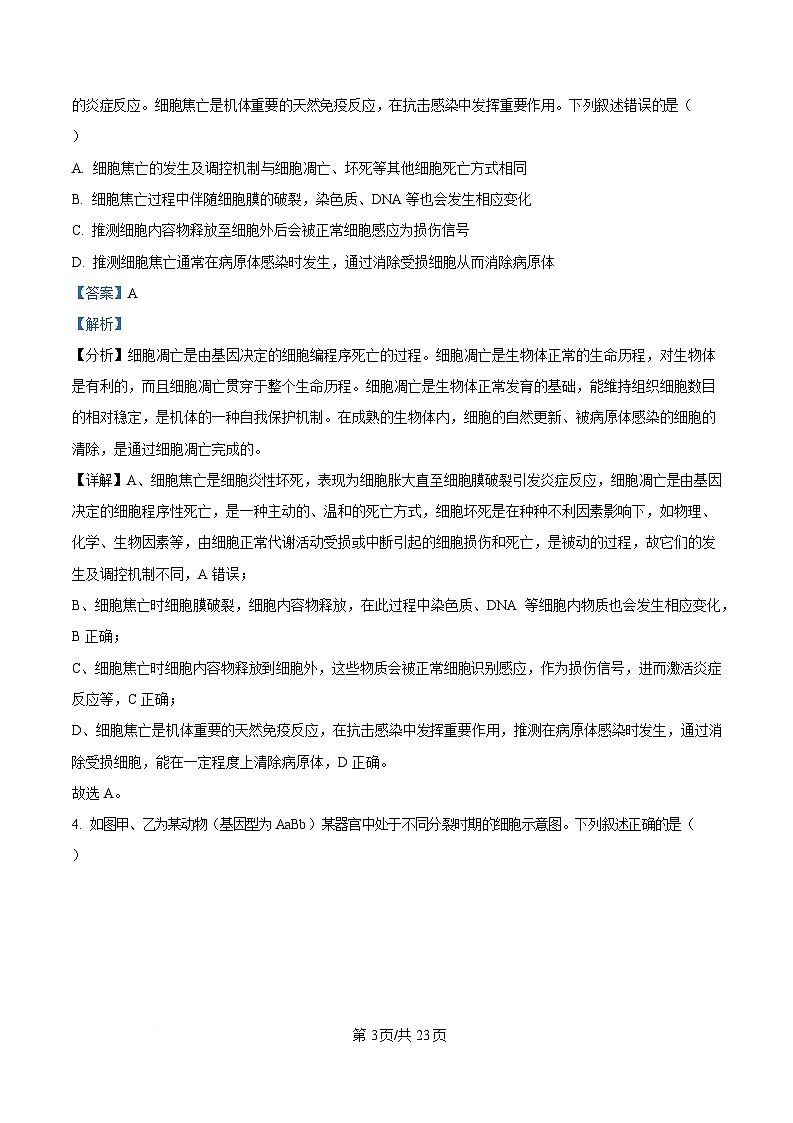 安徽省师范大学附属中学2024-2025学年高三下学期4月质量检测生物试题 含解析第3页