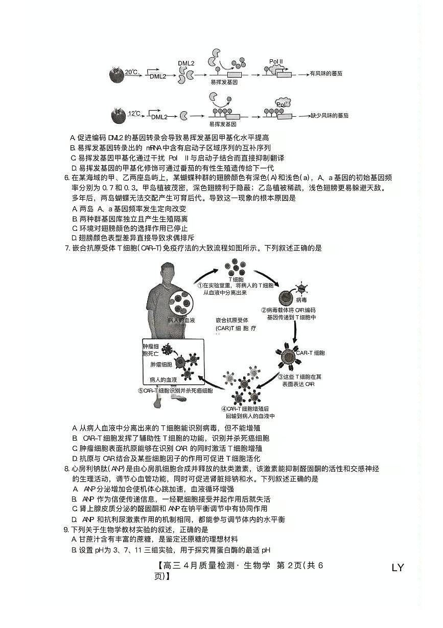 九师联盟2025届高三下学期4月考质量监测-生物试题+答案第2页