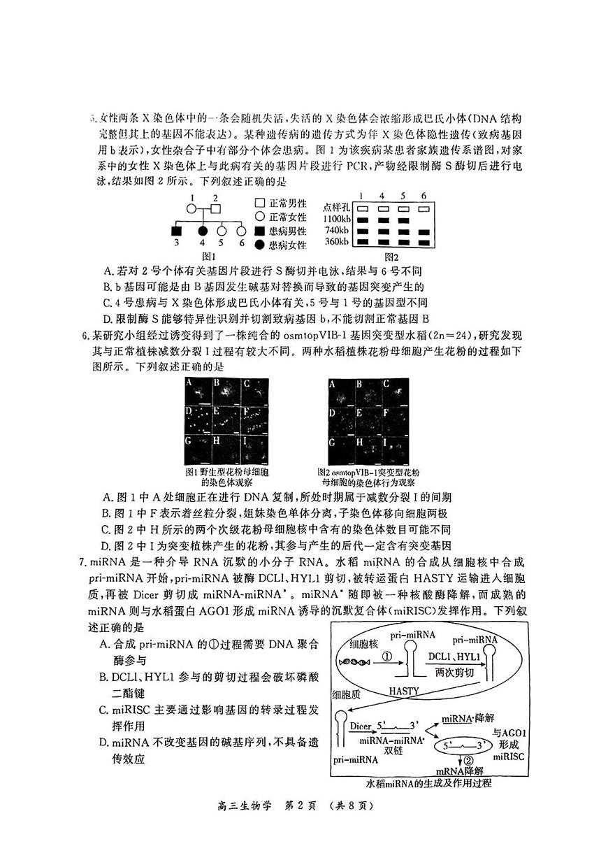 河南省开封市2025届高三高考模拟第三次模拟-生物试题+答案第2页