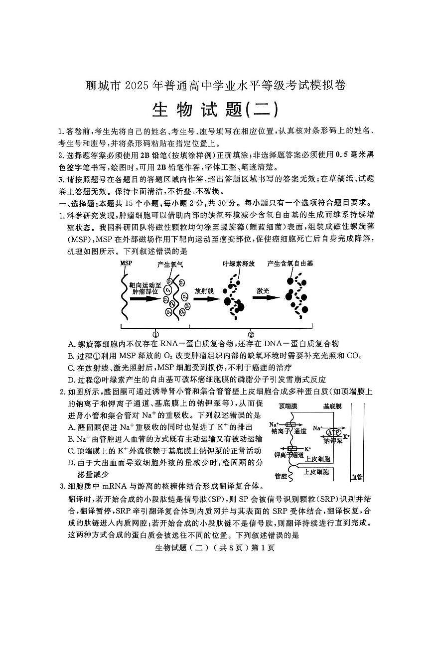 山东省聊城市2025届高三高考模拟第二次模拟-生物试题+答案第1页