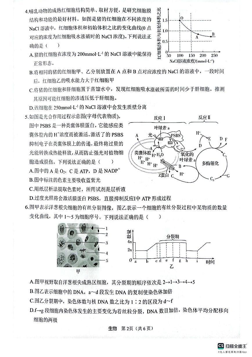 陕西省2025届高三高考模拟仿真模拟-生物试题+答案第2页