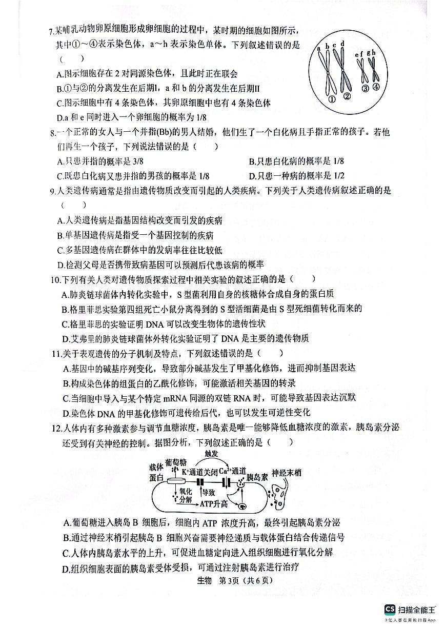 陕西省2025届高三高考模拟仿真模拟-生物试题+答案第3页
