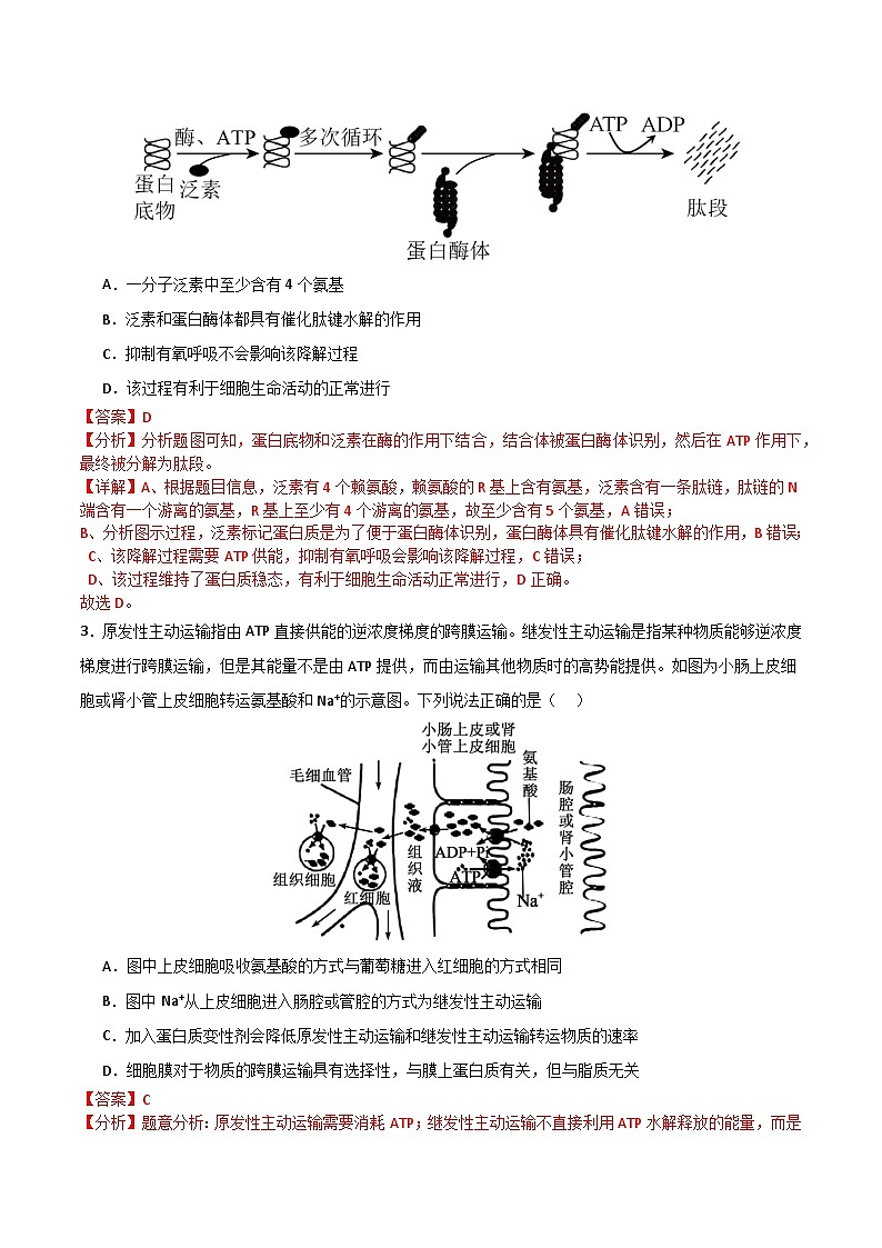 2025年高考第三次模拟考试卷：生物（河北卷）（解析版）第2页