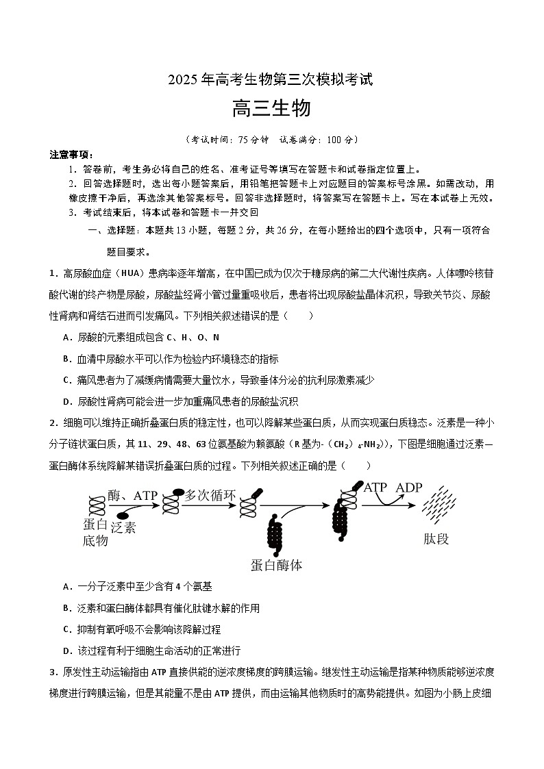 2025年高考第三次模拟考试卷：生物（河北卷）（考试版）第1页