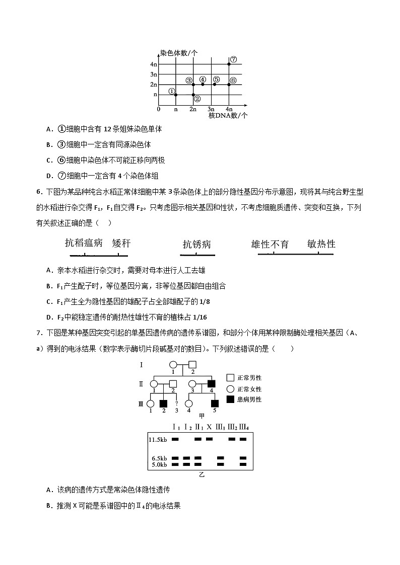 2025年高考第三次模拟考试卷：生物（河北卷）（考试版）第3页