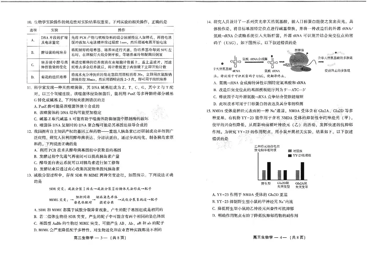 2024-2025学年福州市高三年级第四次质量检测生物第2页