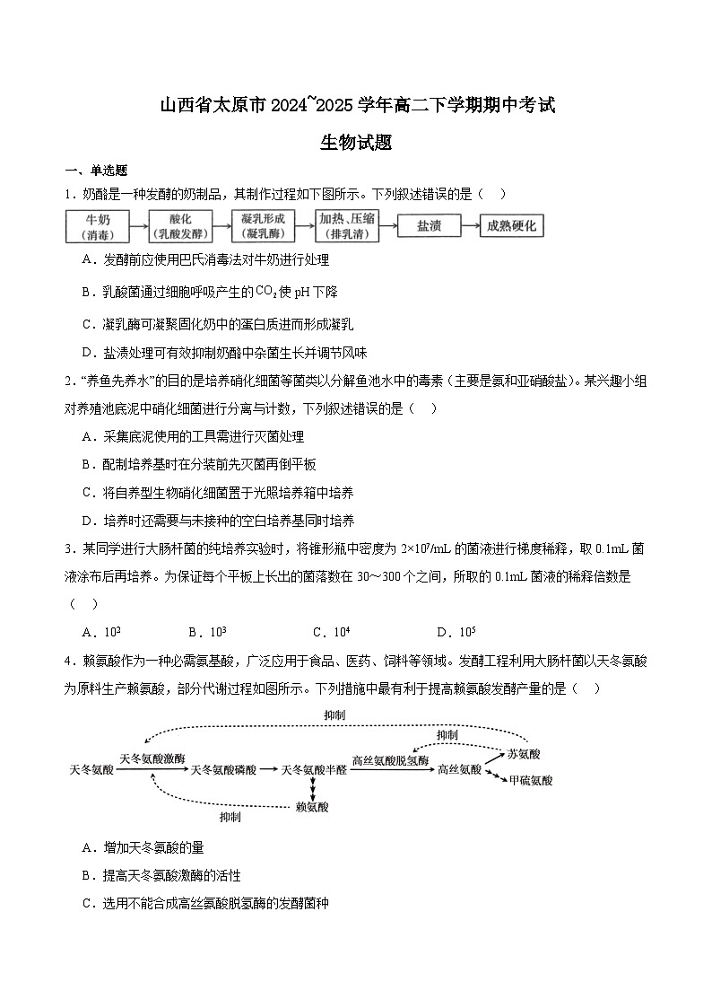 山西省太原市2024-2025学年高二下学期期中考试生物试题（Word版附答案）第1页