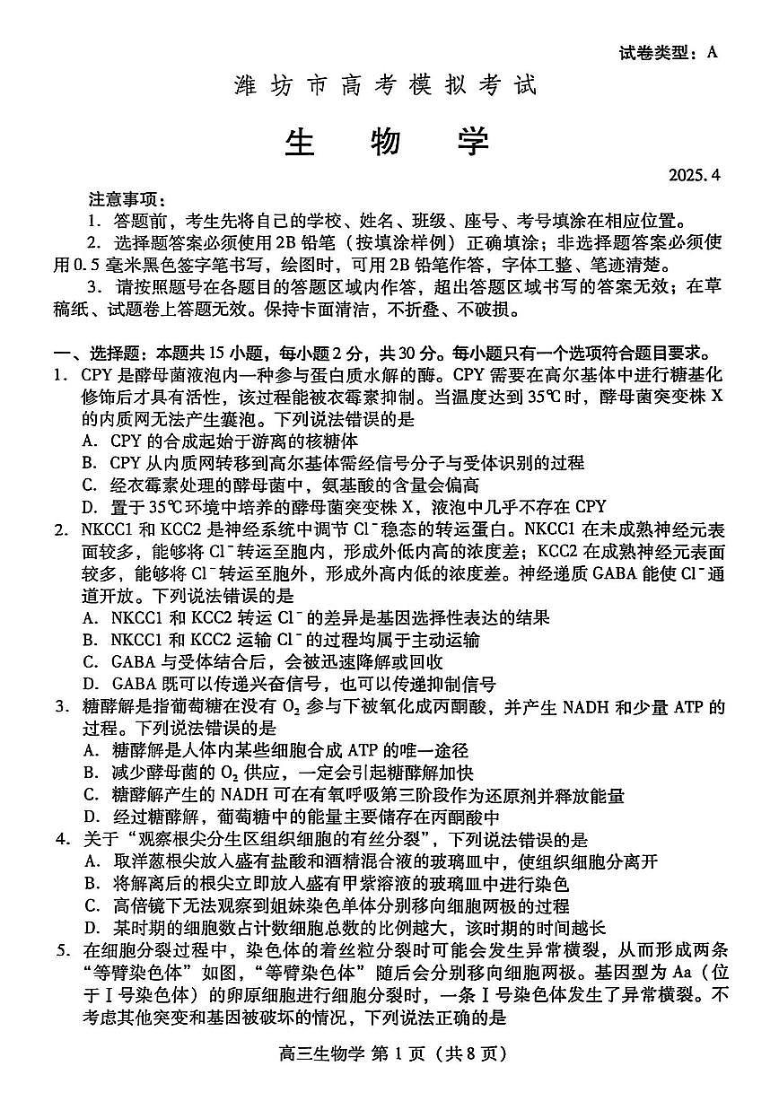 2025届山东省潍坊市高三二模考试 生物试题及答案第1页