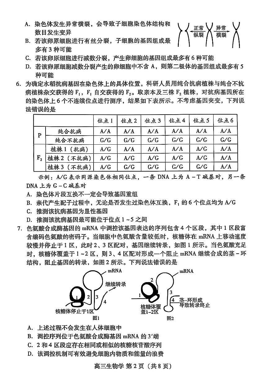 2025届山东省潍坊市高三二模考试 生物试题及答案第2页