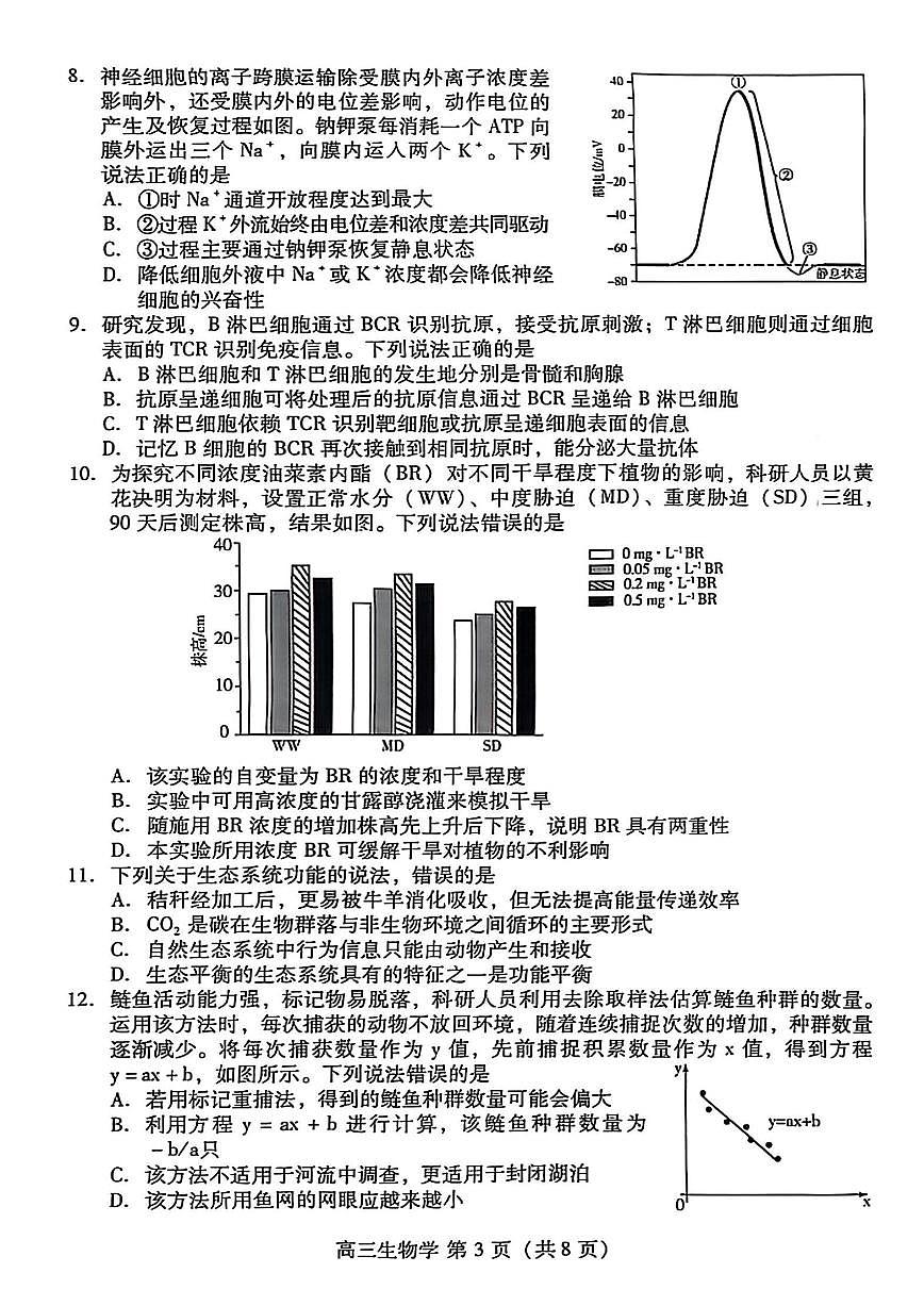 2025届山东省潍坊市高三二模考试 生物试题及答案第3页