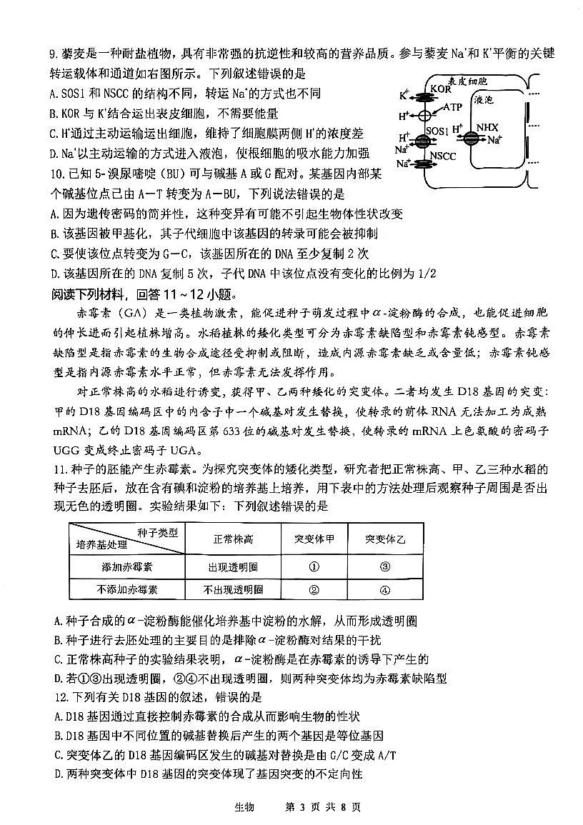 2025年天津市十二区重点学校高三二模生物试卷和答案第3页