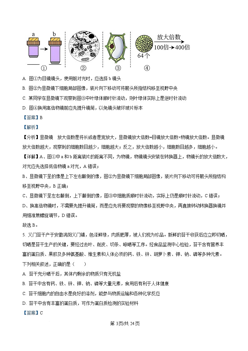 安徽省合肥市高中六校联盟2024-2025学年高一上学期1月期末生物试题 Word版含解析第3页
