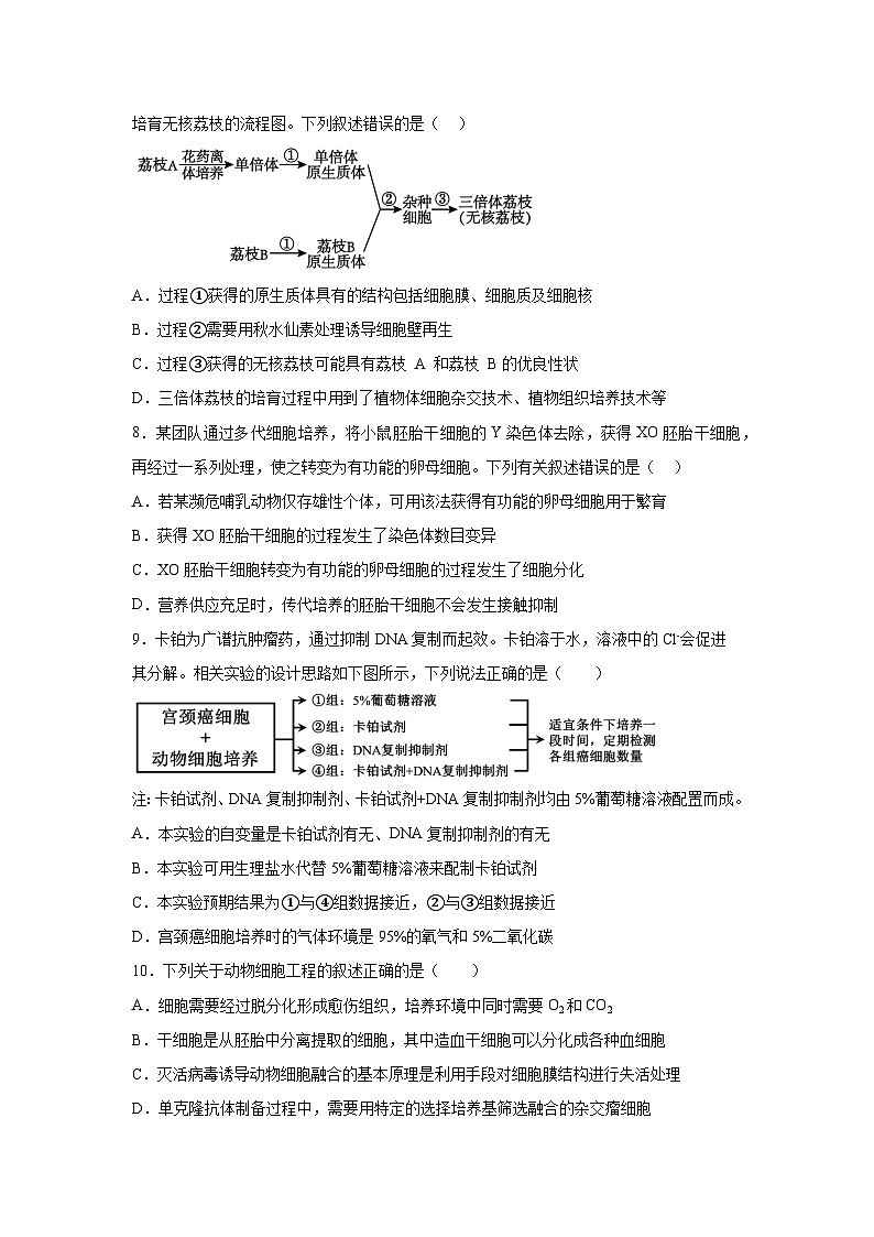 四川省内江市第一中学2023-2024学年高二下学期期中考试生物试题第3页