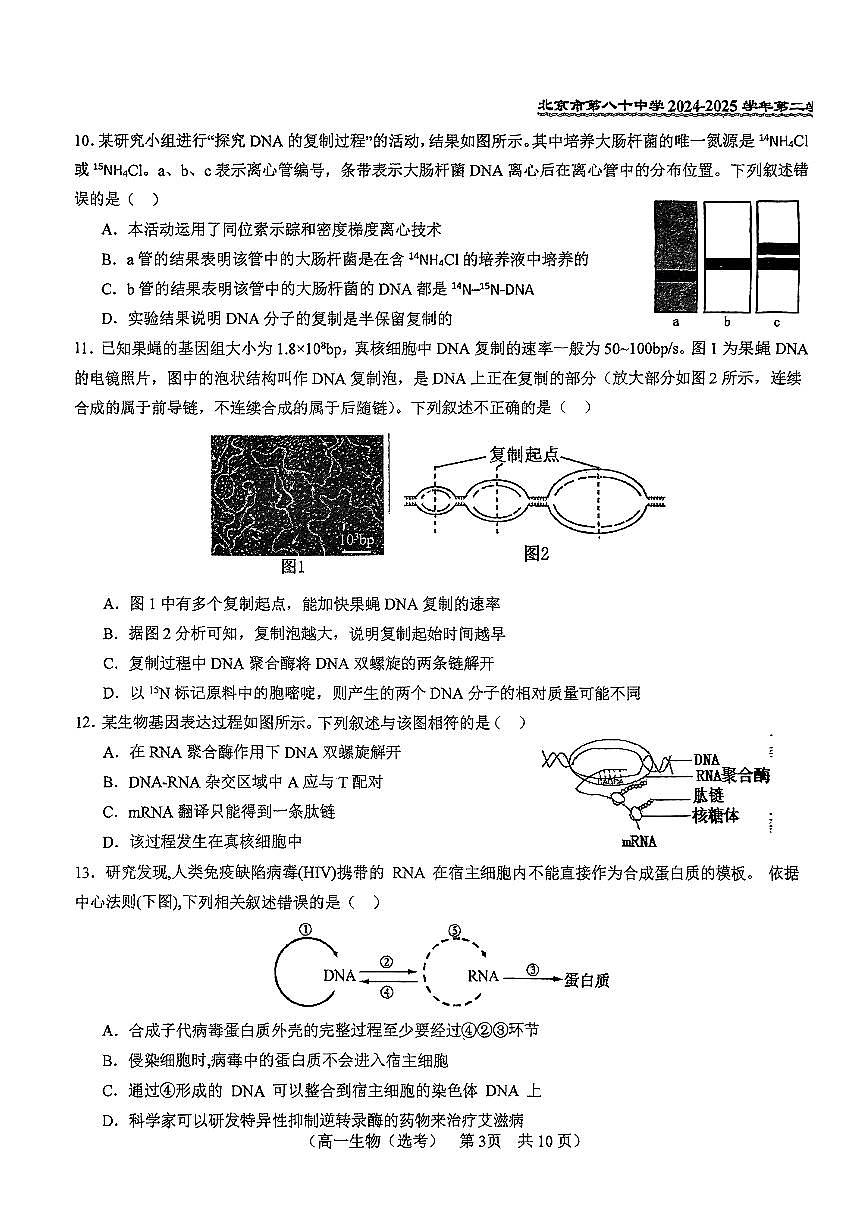 2025北京八十中高一（下）期中真题生物（选考）试卷第3页