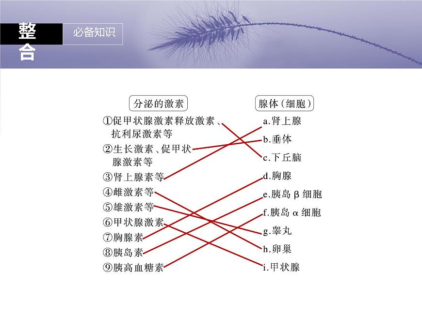 高中生物高考二轮专题复习课件：体液调节第3页