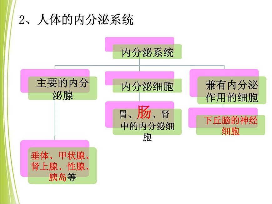 高中生物高考二轮专题复习课件：体液调节第7页