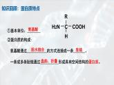 3.4《基因控制蛋白質(zhì)合成》課件 浙科版生物必修二