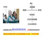 3.4《基因控制蛋白質(zhì)合成》課件 浙科版生物必修二