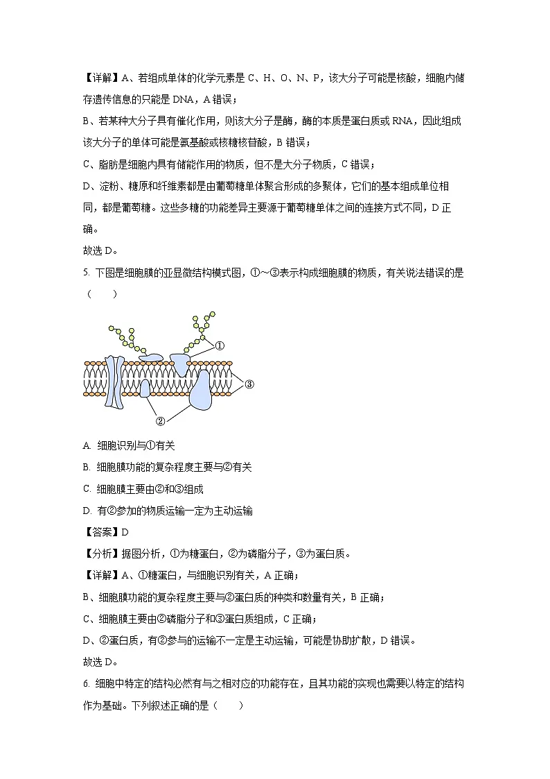 黑龙江省龙东地区2024-2025学年高一上学期期末考试生物试卷（解析版）第3页