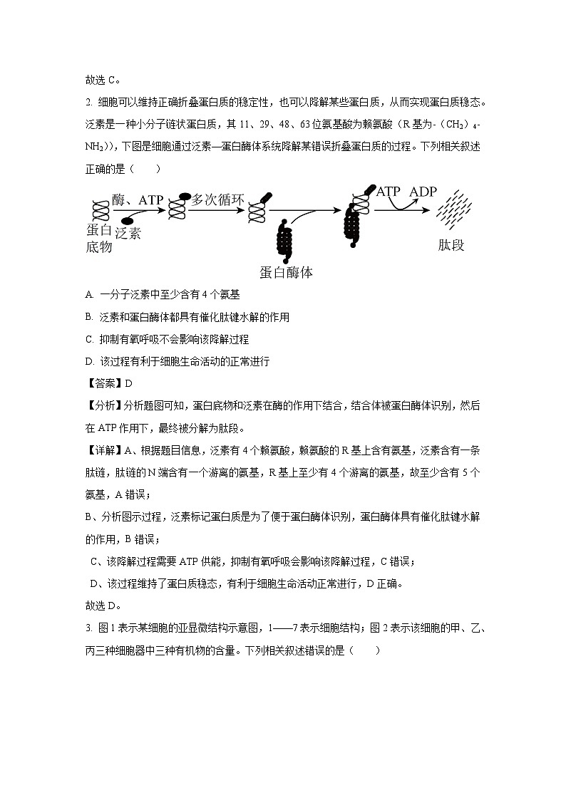 黑龙江省齐齐哈尔市2025届高三一模[高考模拟]生物试卷（解析版）第2页