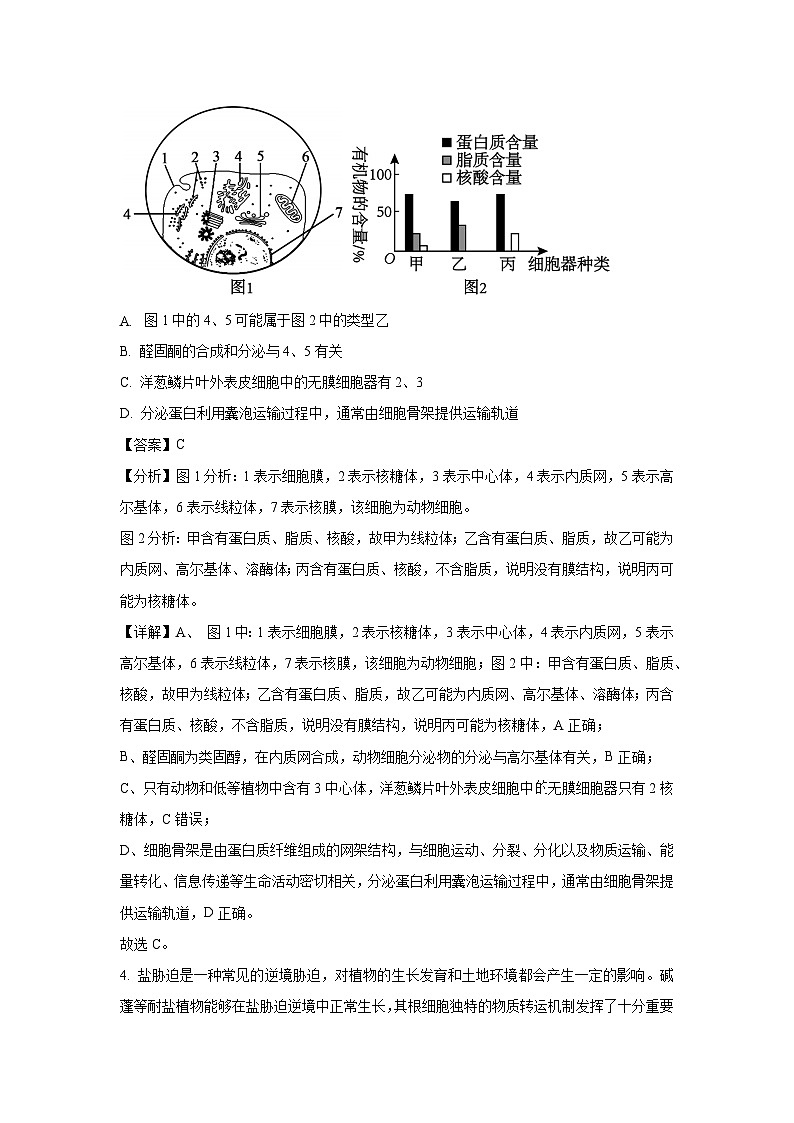 黑龙江省齐齐哈尔市2025届高三一模[高考模拟]生物试卷（解析版）第3页