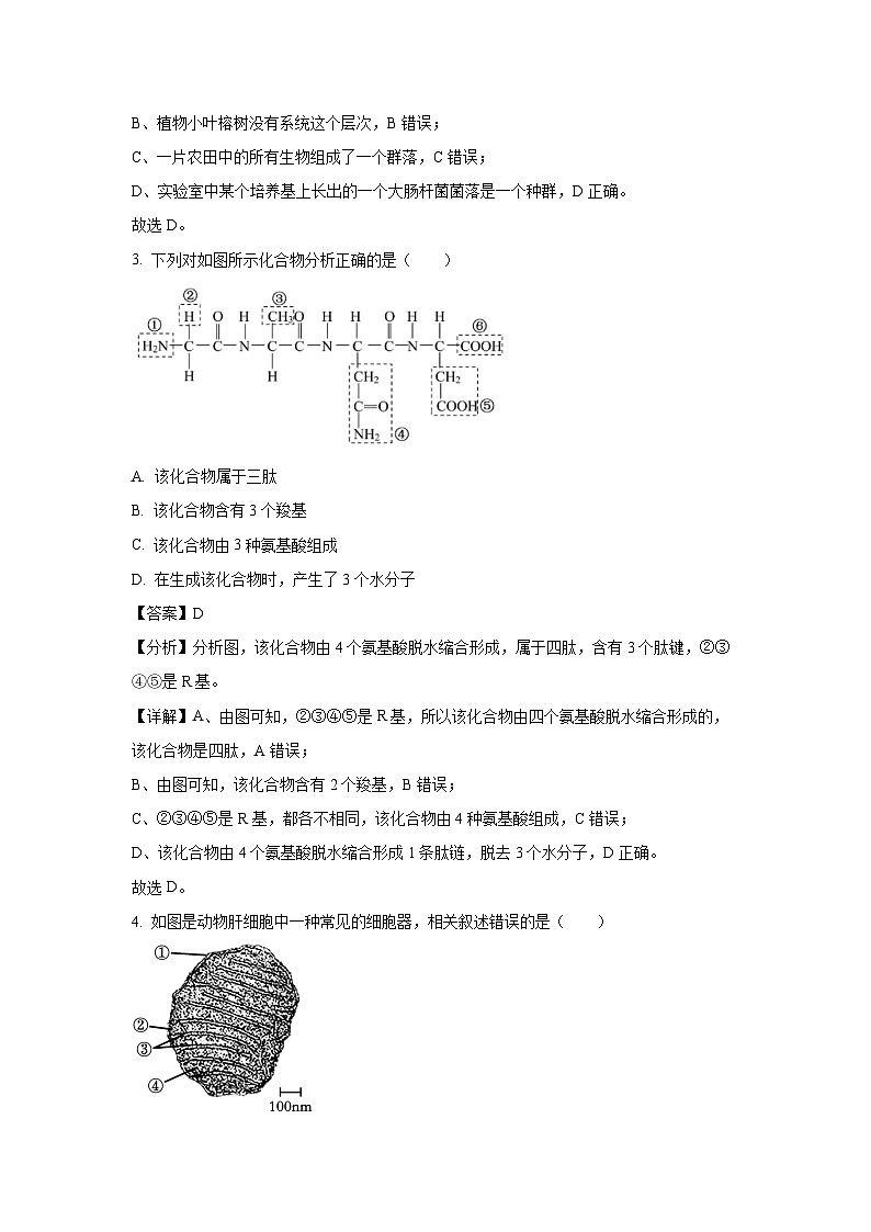 黑龙江省大庆铁人中学2024-2025学年高一下学期开学考试生物试卷（解析版）第2页