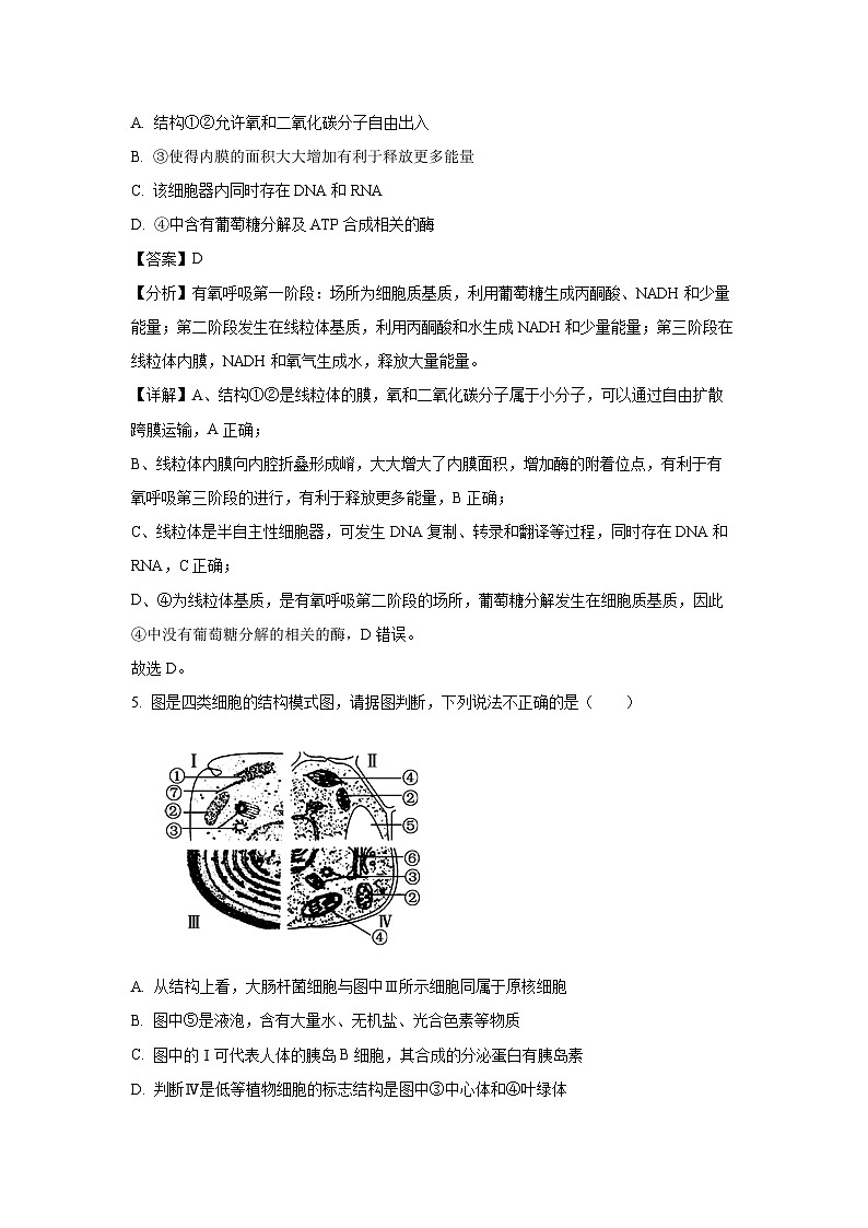 黑龙江省大庆铁人中学2024-2025学年高一下学期开学考试生物试卷（解析版）第3页